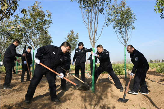 植树增绿 美化西咸∣2019年西咸新区春季义务植树活动在泾河新城举办