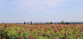 行走北太行文化生态休闲体验区 触摸保定文旅新名片