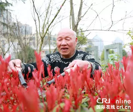 八旬“植绿老人”赖兆铭：34年义务种下3万余棵树苗