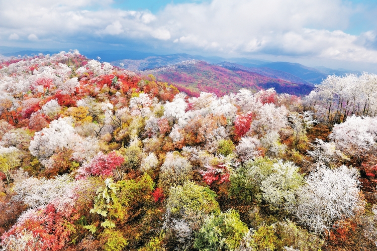 白山市：逐秋赏红庆丰收