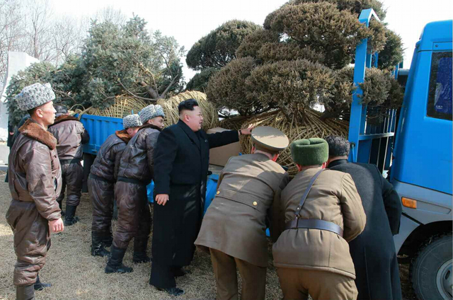 金正恩慰问朝鲜空军部队 与飞行员一起植树