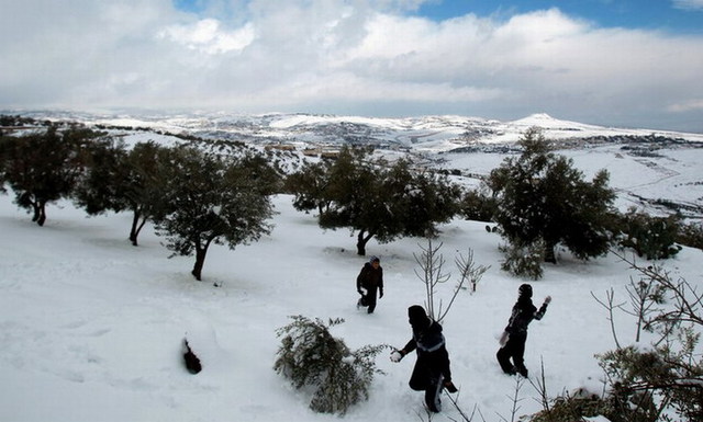 盘点炎热地区罕见降雪场景 比基尼美女雪地欢跳