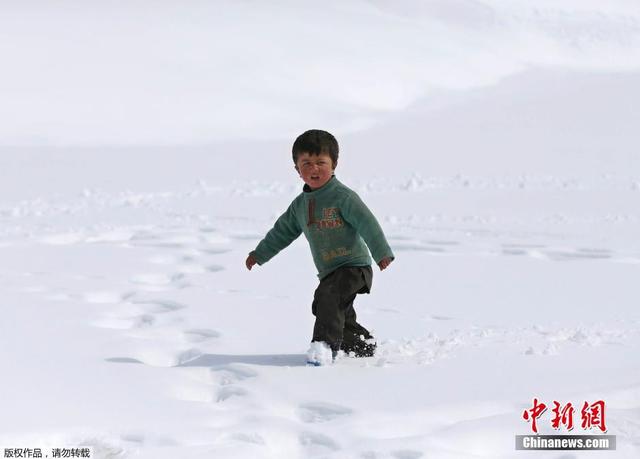 阿富汗雪崩幸存者搬运救援物资 跪雪地祈祷