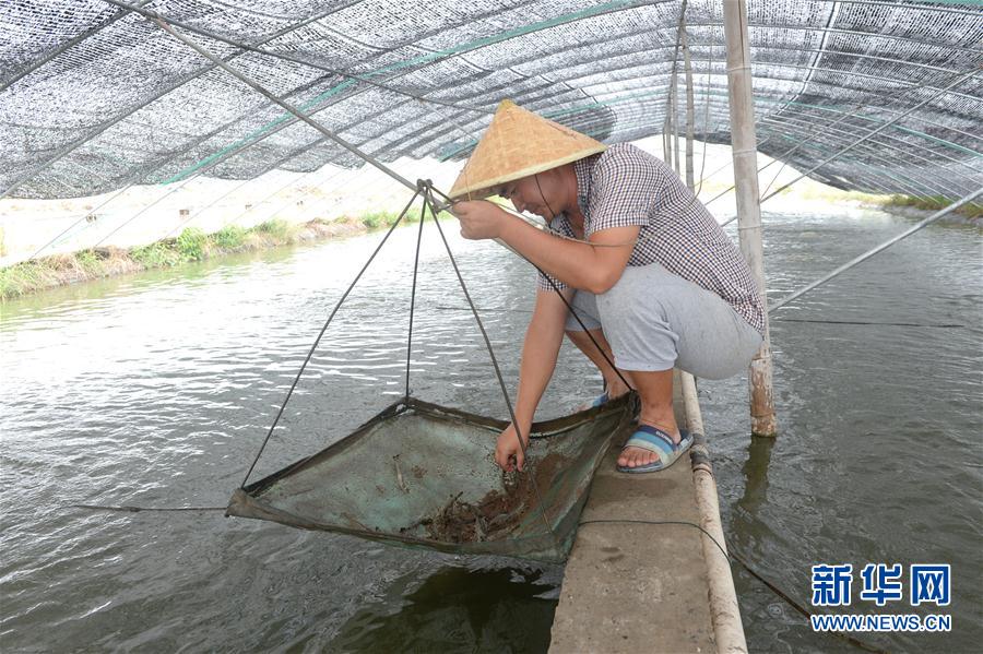 江苏南通：科技兴海 打造富民聚宝盆