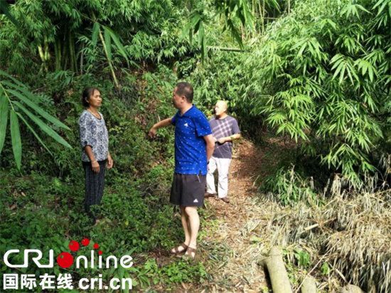 已过审【区县联动】【大足】大足回龙镇：确保地质安全绿灯常亮