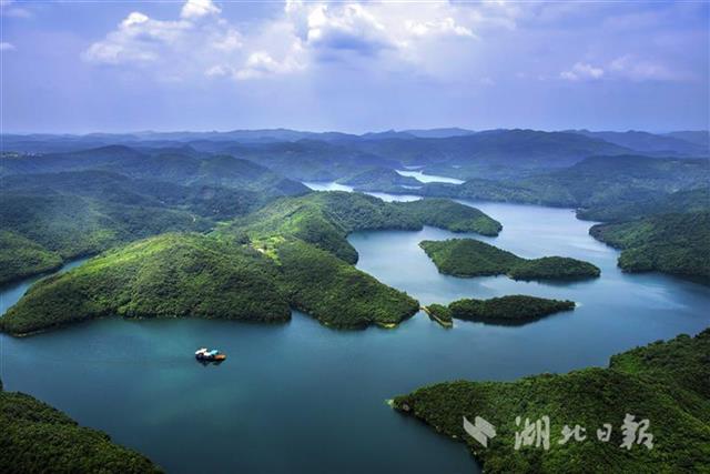 荆宜共建漳河中华秋沙鸭保护基地