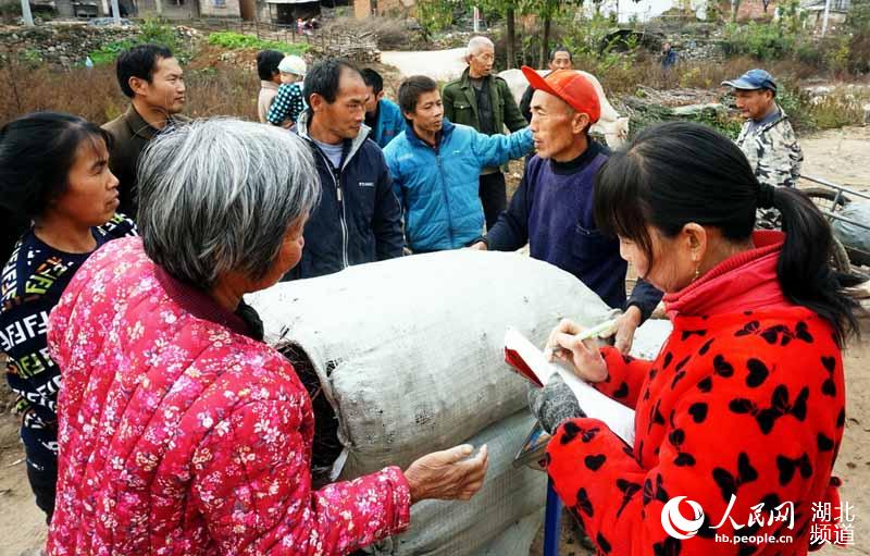 湖北十堰：黄姜外销助增收