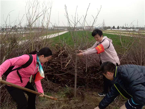 【湖北】【客户稿】武汉市体育局机关开展学雷锋志愿服务活动