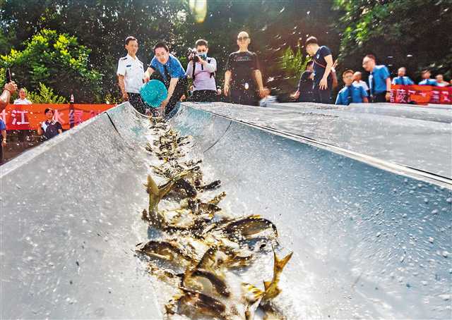 【要闻】重庆加快推动生态文明体制改革