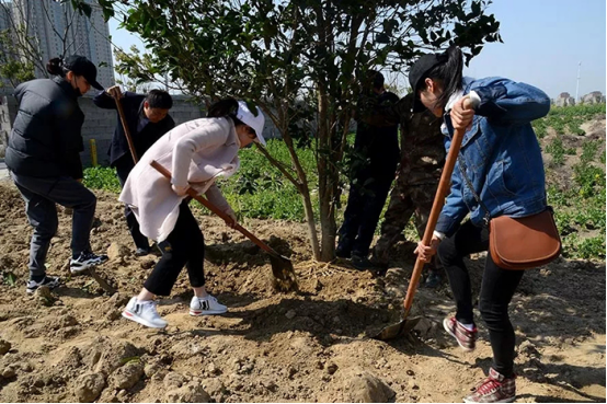 （供稿 文体列表 三吴大地泰州 移动版）泰州海陵区四套班子领导参加义务植树活动