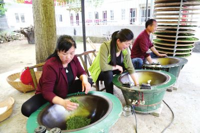 【河南好项目-图片】南阳桐柏茶叶香飘