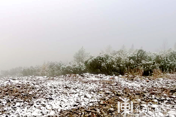 中国最冷小镇呼中迎2020秋后首场降雪