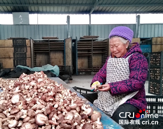 【秋后喜算丰收帐】贵州安龙：食用菌“闯出”致富路