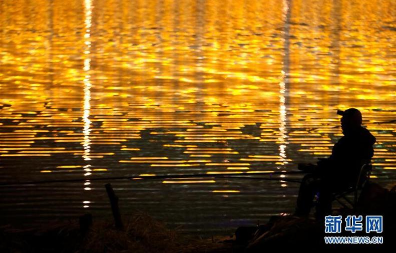 彩灯扮靓夜浑河