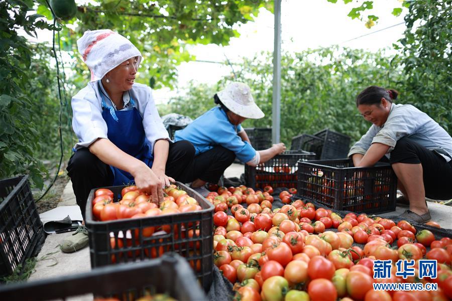 走向我们的小康生活丨千年之渴今朝解——贵州贫困群众实现“吃水不愁”