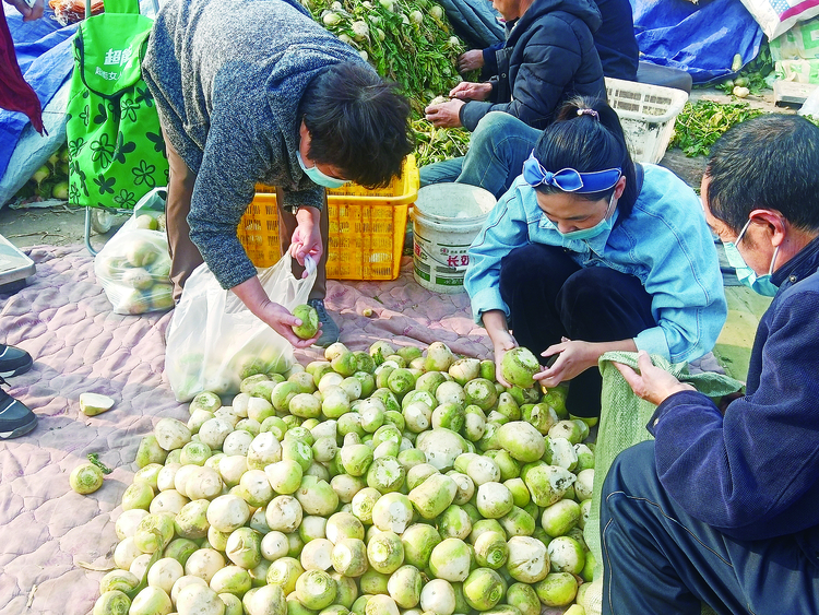 000000000000                 你摆摆摆 我挑挑挑 这才是秋菜上市的正确姿势