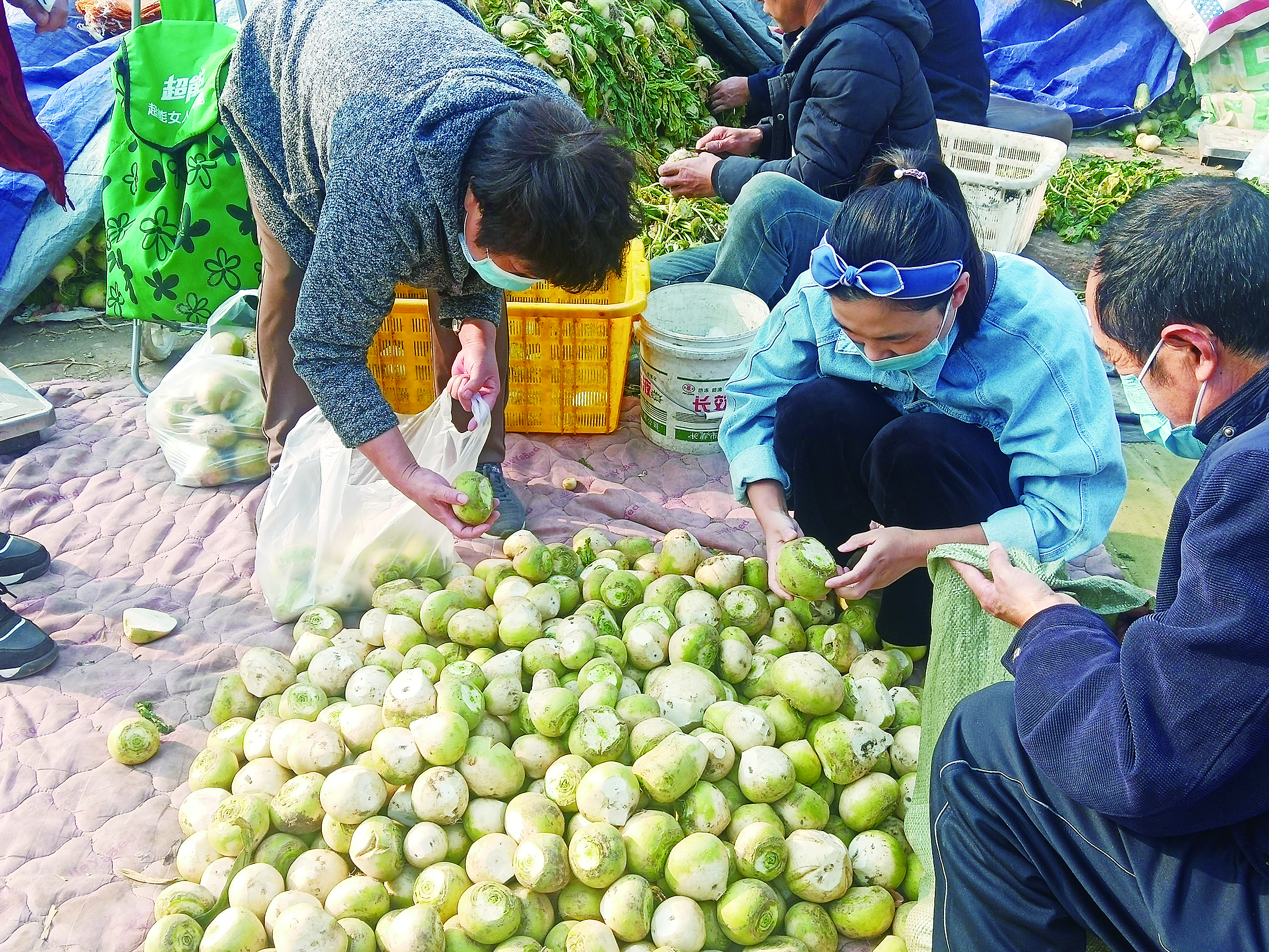 000000000000                 你摆摆摆 我挑挑挑 这才是秋菜上市的正确姿势