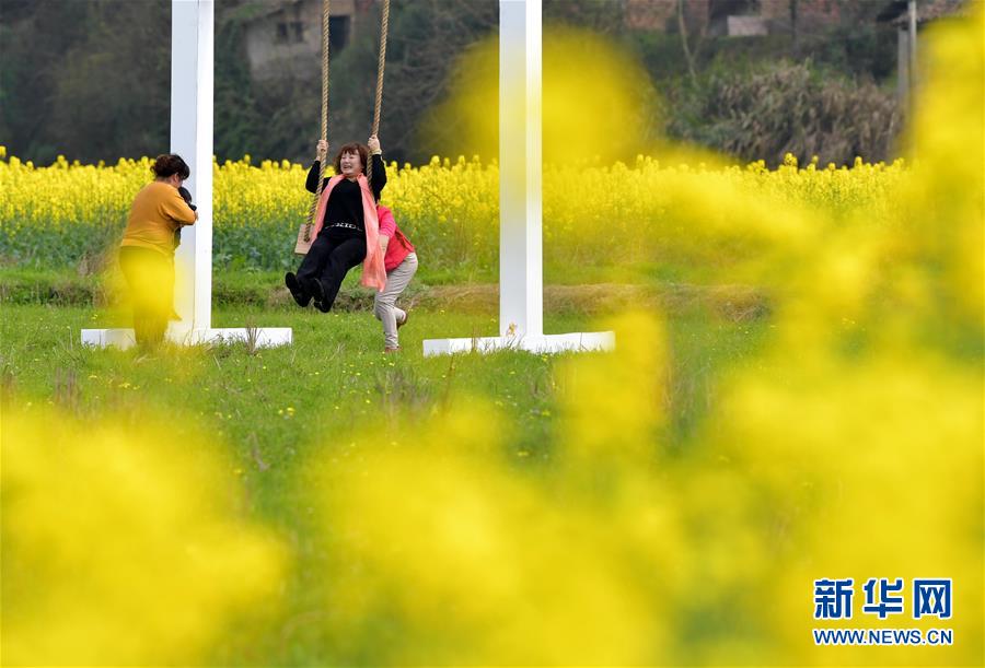 江西东桥镇：赣西大地 油菜花开