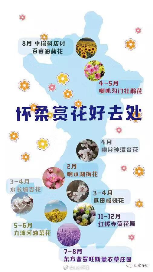 怀柔赏花攻略地图出炉：一年四季都有鲜花盛开