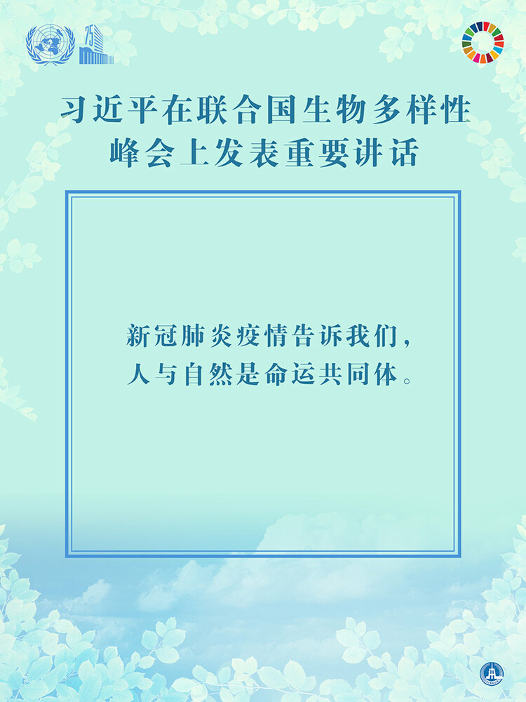 海报：习近平在联合国生物多样性峰会上发表重要讲话