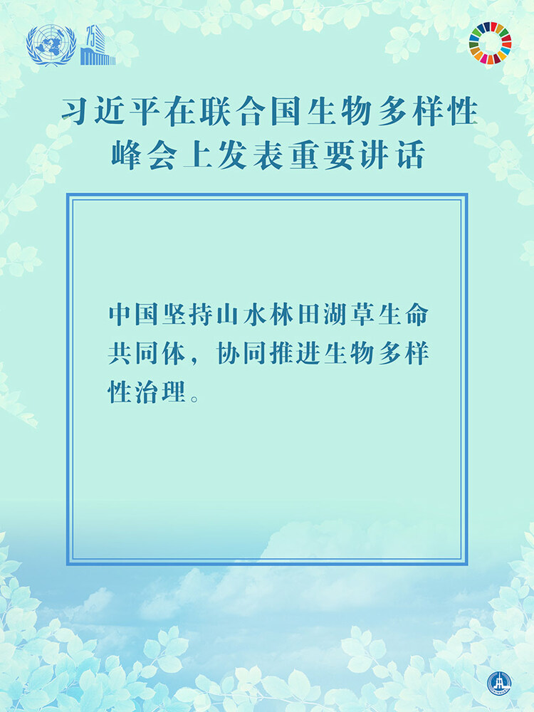 海报：习近平在联合国生物多样性峰会上发表重要讲话