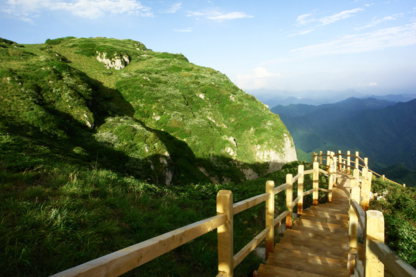 紫柏山岩谷地貌奇异，自然风景秀丽，野生动植物较多，森林覆盖面积4000公顷。_fororder_140802