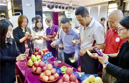 陕西洛川苹果深圳宣传推介会在广东省深圳市罗湖区举办