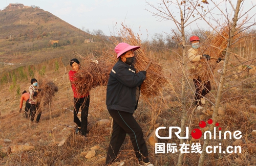 等待通过【专题-滚动列表】河南宝丰：除草灭荒防山火