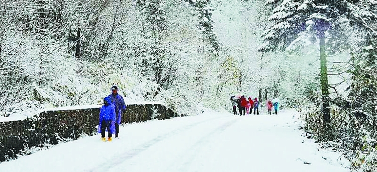 龙江森工集团各景区 人气满满雪添亮点