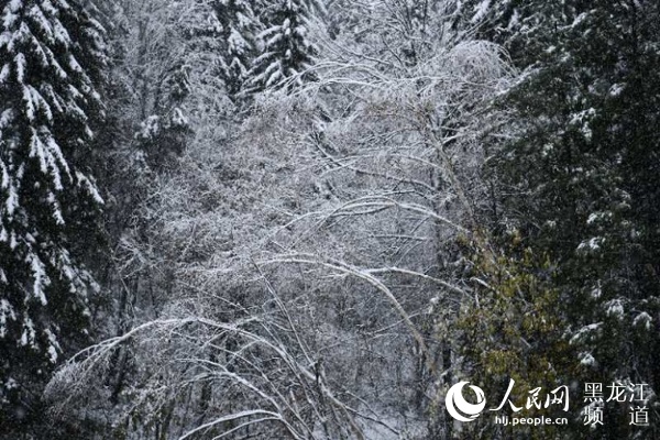 “双节”长假中国雪乡五花山色披银装