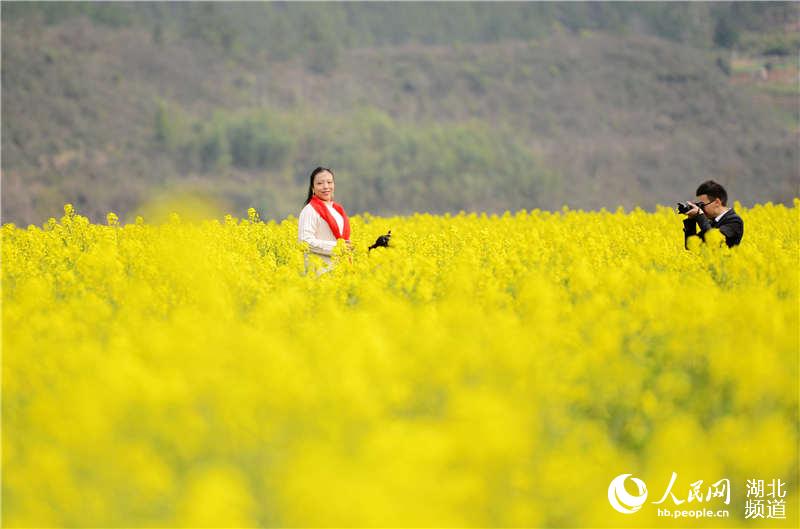 湖北保康：油菜花香引客来