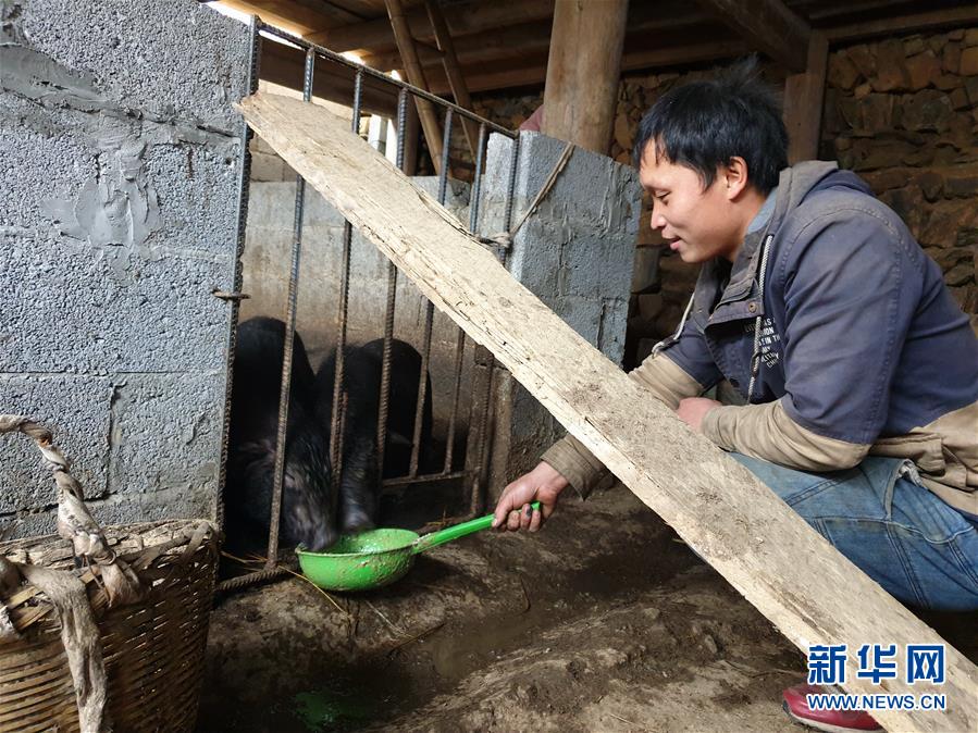 “云上瑶寨”的新年变化