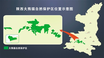 （头条）公园面积相当于8个西安市建成区  10年建成大熊猫国家公园陕西秦岭区