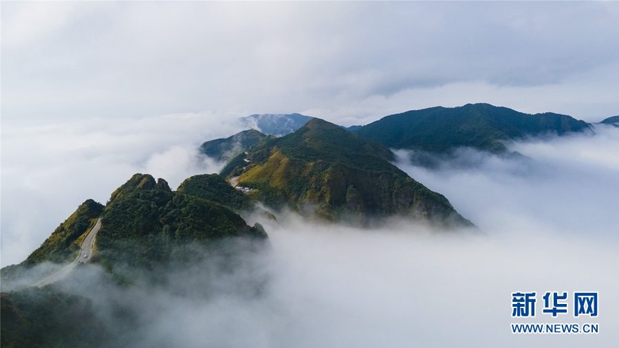 广西大明山：秋云成海 蔚为壮观