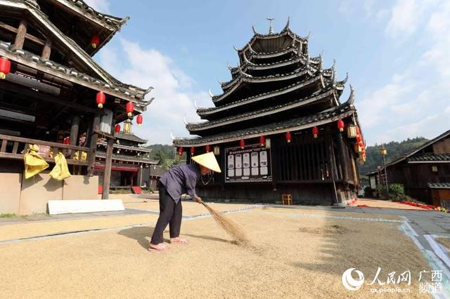 组图：侗寨晒秋景色美