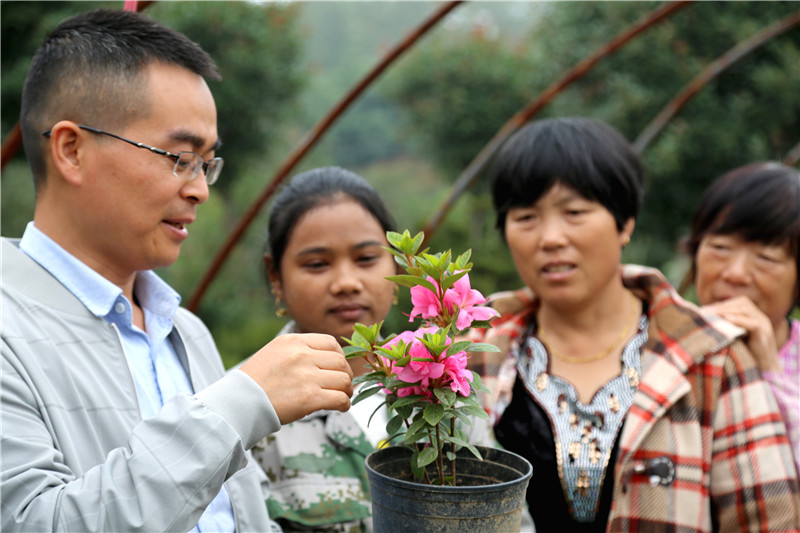 【B】平顶山市叶县：花卉苗木种植助农增收脱贫