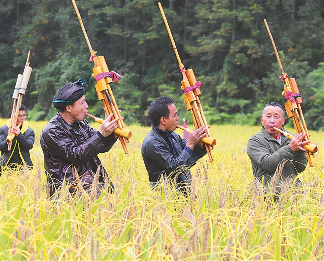 广西融水苗族自治县良寨乡举办紫黑香糯文化节庆丰收