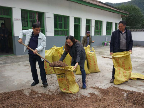 （有修改）（加急）（统战部的活动稿子  宝鸡民进陈仓区总支   附链接）统战宣传基层行|“驻村队长”陈海宁：大山深处的筑梦人