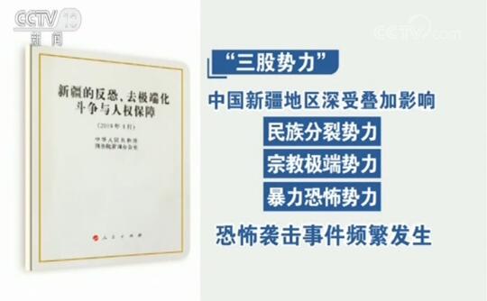 国新办发表《新疆的反恐、去极端化斗争与人权保障》白皮书