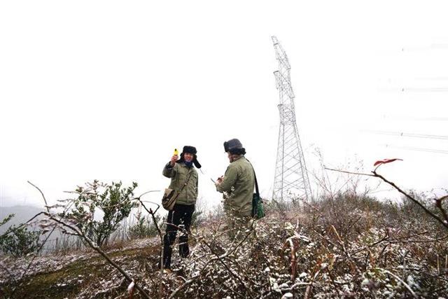 湖北电网度扛过2018年冬季首场雨雪考验