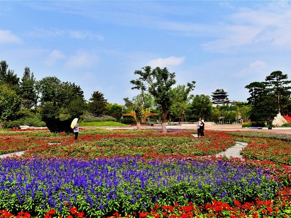 A Journey to Yanqing in Golden Autumn