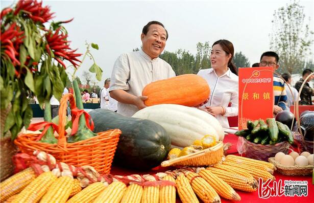 十三五·河北答卷｜推进乡村振兴 激发“三农”活力