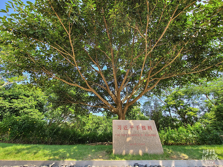 时政新闻眼丨四十“圳”当年，习近平强调新时代经济特区建设要这样干