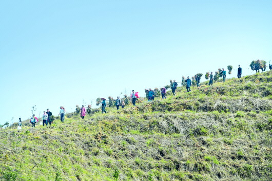 （大生态）天柱农民龙顺辉16年坚持带领当地贫困户造林1.2万亩