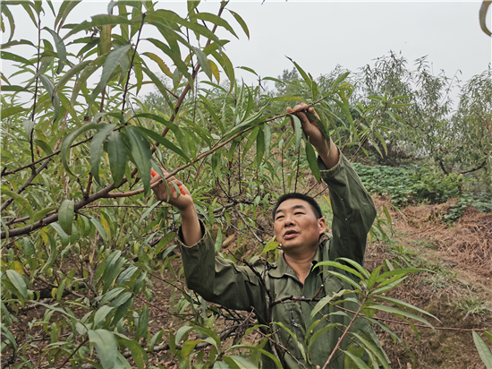 【B】河南鲁山脱贫户闫鲁峰：扎根荒山二十年终于“修成正果”