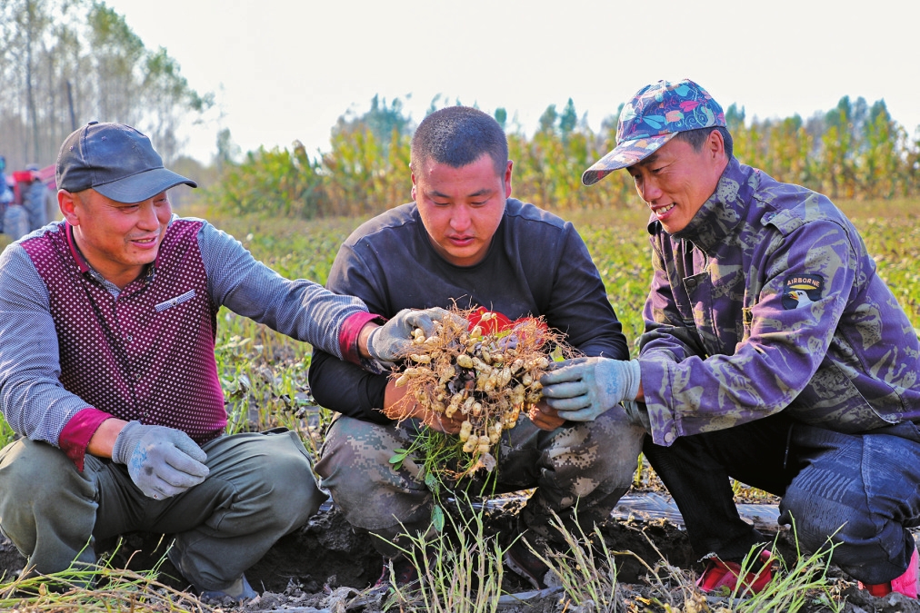 为了大地的丰收——吉林省松原市推进秋收工作纪实