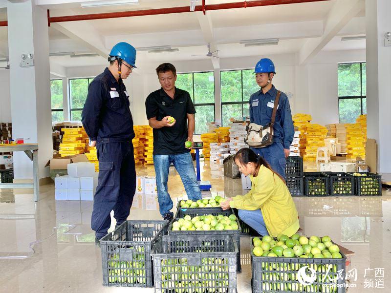 广西凌云：黄金百香果香飘小山村 甜了群众“致富心”