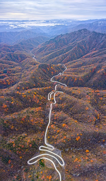 一叶知秋！带上这份地图，定制专属于你的红叶观赏地