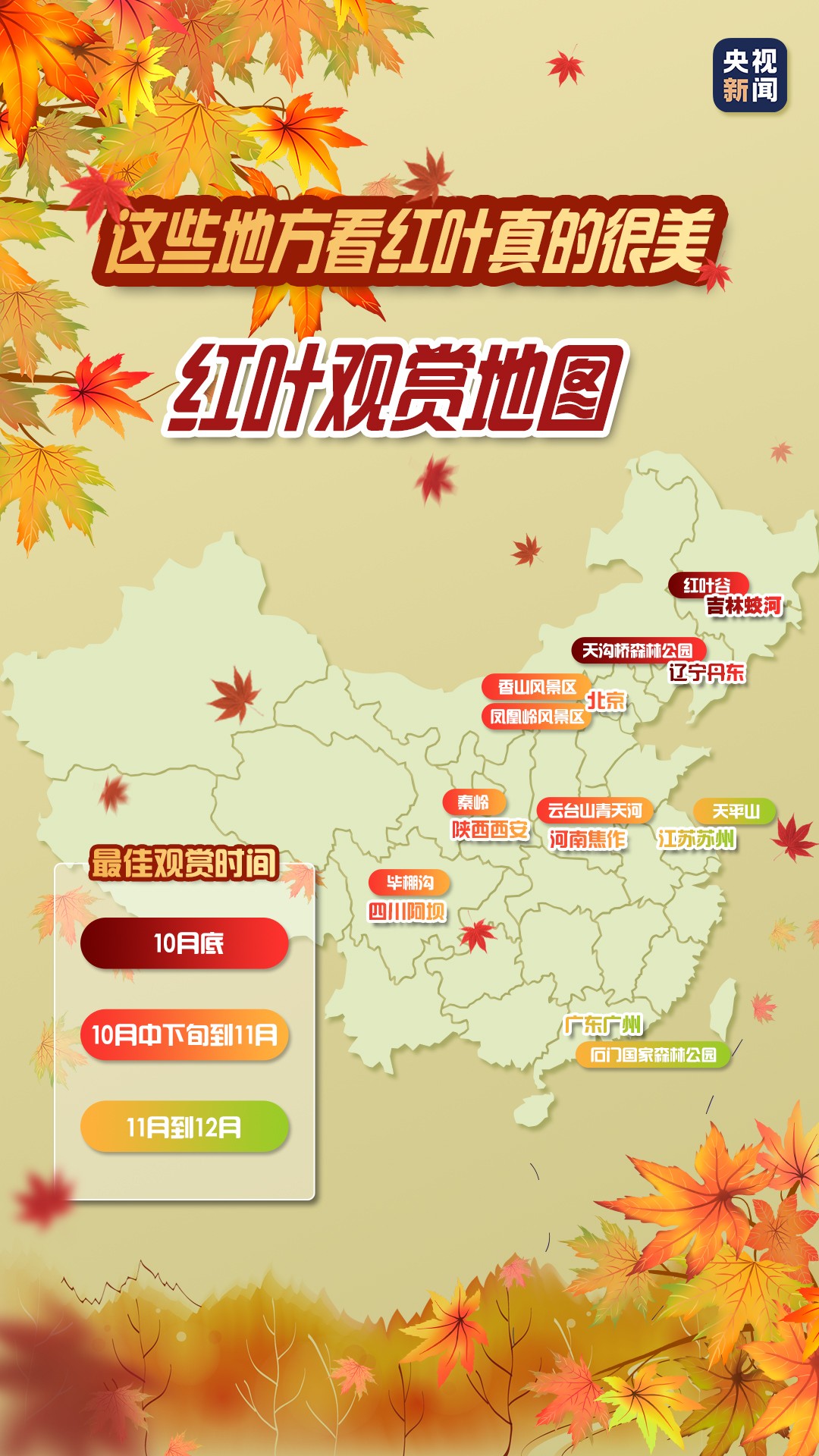 一叶知秋！带上这份地图，定制专属于你的红叶观赏地