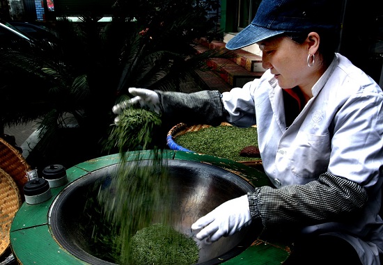 （黔茶贵水）贵山贵水中，藏着世界茶叶的“鼻祖”